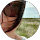 Yvonne Neu profile picture